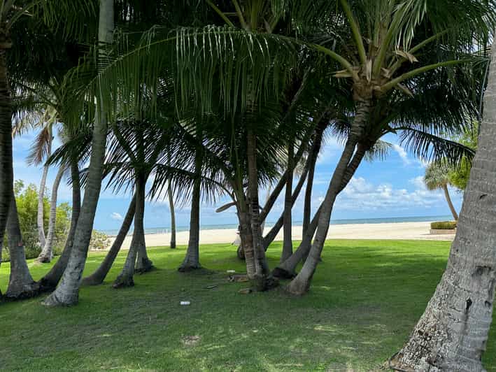 Islamorada Snorkeling and Beach Adventure GetYourGuide