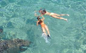 Islamorada: Snorkeling and Beach Adventure from Cheeca Spa