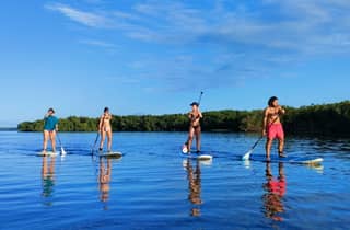 Guadalupa: esperienza di stand up paddleboard tra le mangrovie