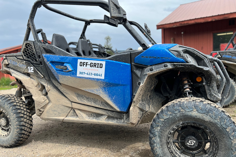 Jackson: Jackson Hole Side-By-Side Off-Roading Rentals Full Day Side By Side Rental (2-Seater)
