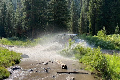 Jackson: Jackson Hole Side-By-Side Off-Roading Rentals Full Day Side By Side Rental (2-Seater)
