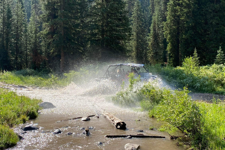 Jackson: Jackson Hole Side-By-Side Off-Roading Rentals Full Day Side By Side Rental (2-Seater)