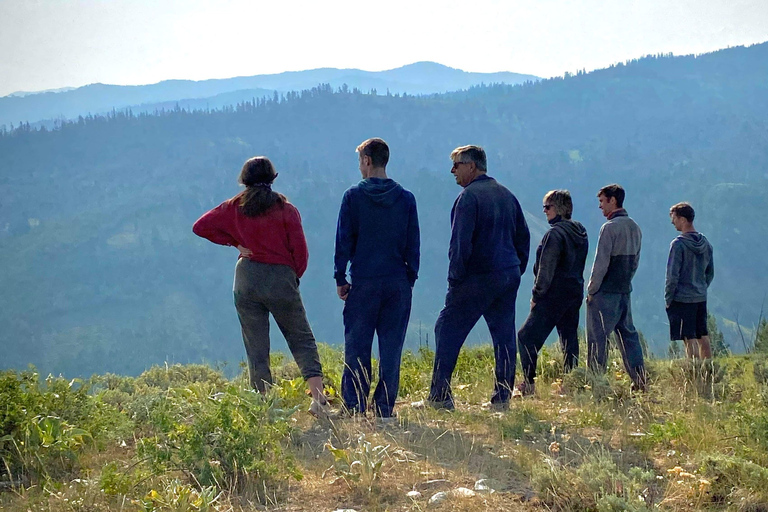 Jackson: Jackson Hole Side-By-Side Off-Roading Rentals Full Day Side By Side Rental (2-Seater)