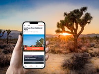 Joshua Tree, tour di guida audio autoguidata - Housity
