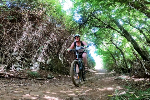 Mountainbike in de noordelijke bossen van Gran Canaria
