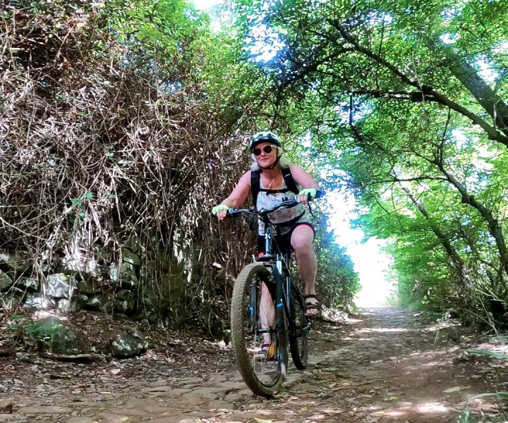 Firgas: Gran Canaria Forest Mountain Bike Tour with Snack