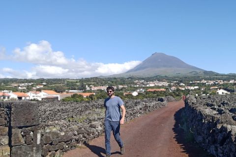 Wine Tour and Tasting with a Winemaker! at Pico Island