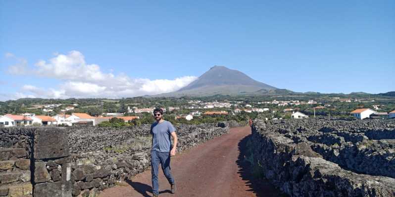 Tour de vinhos e degustação com um enólogo! na ilha do Pico