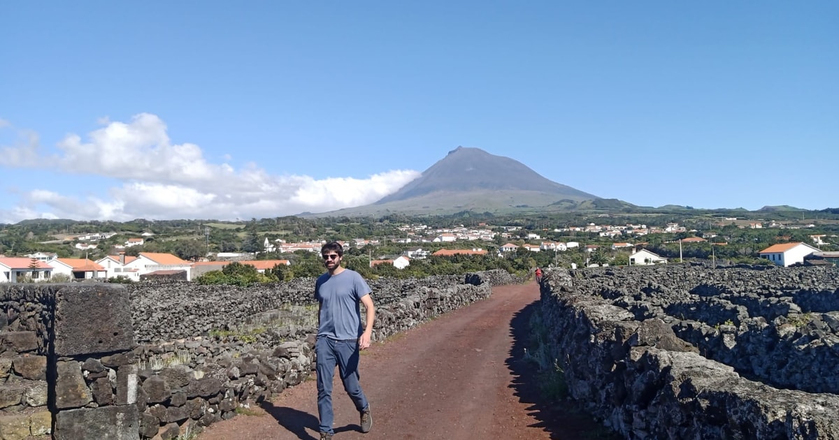 pico island wine tour