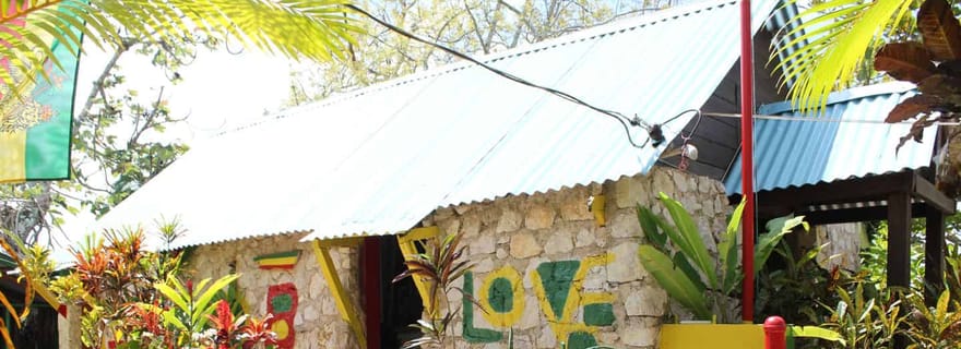 Visite privée du lieu de naissance de Bob Marley et des chutes de Dunn's River