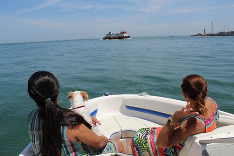 Lisbon: City Boat Cruise Daytime/Sunset/Night with Champagne