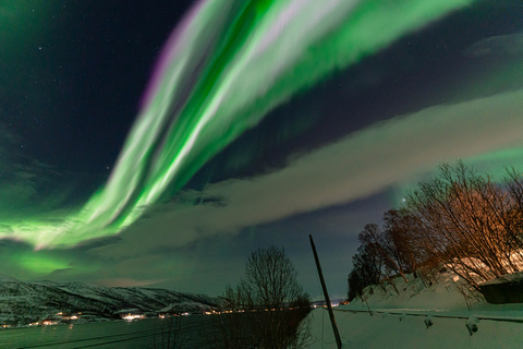 Tromsø: Wycieczka po zorzy polarnej ze zdjęciami i ciepłymi kombinezonami