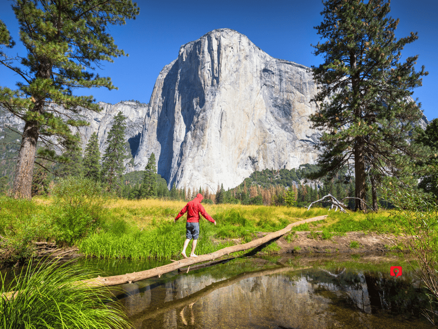 yosemite national park driving tour