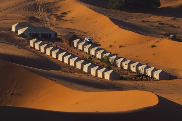 Merzouga: Excursión nocturna en camello con SandboardingCampamento Estándar del Desierto