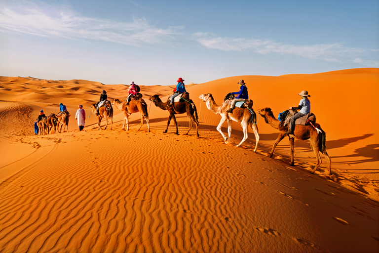 Merzouga: Overnight Camel Trek with SandboardingLuxury Desert Camp (Recommended)