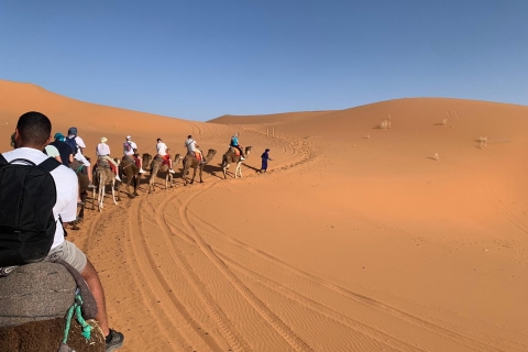 Merzouga : randonnée chamelière de nuit avec planche à voileCamp du désert standard