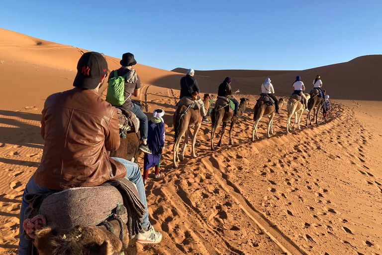 Merzouga : randonnée chamelière de nuit avec planche à voileCamp de luxe dans le désert