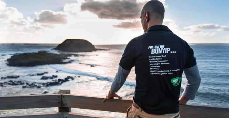 Phillip Island Penguin Parade Tour photo 10