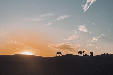 Excursión de 2 días por el desierto de Zagora y el valle del Draa en camelloExcursión por el desierto de Zagora y el valle del Draa en camello