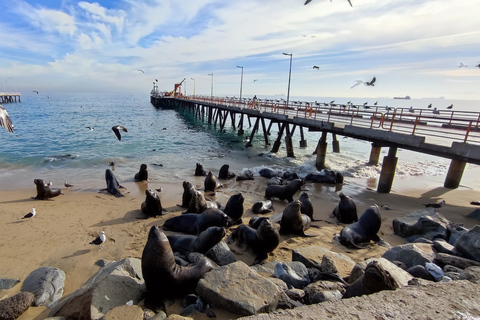 Valparaíso: Prywatna wycieczka z doświadczonym lokalnym przewodnikiem.