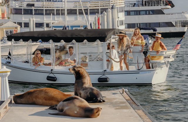 Visit Los Angeles Luxury Cruise with Wine, Cheese & Sea Lions in Torrance