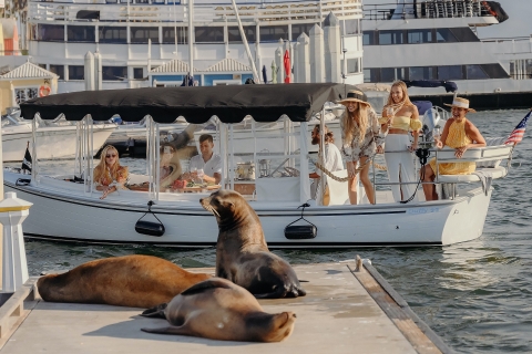 Marina del Rey: rejs luksusowym statkiem z winem i seremPrywatna wycieczka