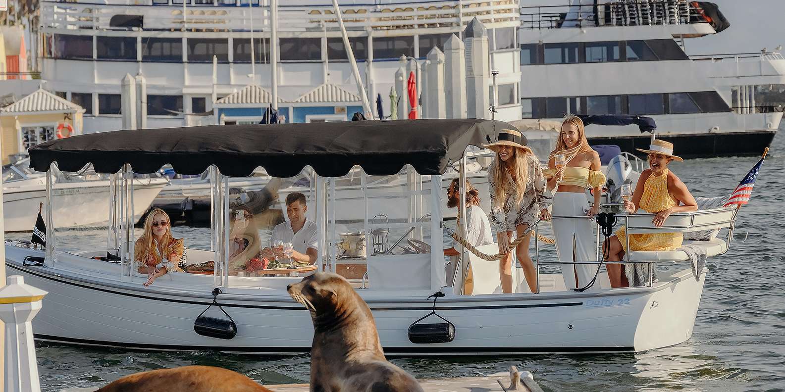 Los Angeles: Luxury Cruise with Wine, Cheese & Sea Lions | GetYourGuide