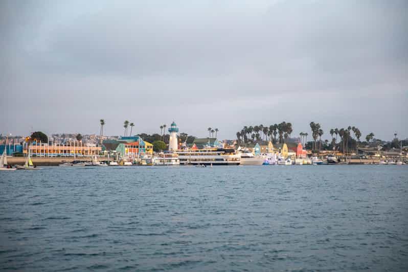 Los Angeles: Luxury Cruise With Wine, Cheese & Sea Lions | GetYourGuide