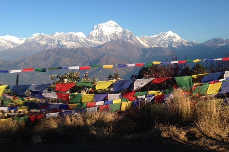 Ghorepani Poon Hill Trek: 4-dniowa prywatna wycieczka z PokharyWędrówka po wzgórzu Ghorepani Poon | Prywatna 4-dniowa wędrówka po Poon Hill