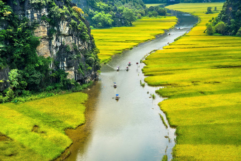 Ninh Binh - Hoa Lu - Mua Höhle - Tam Coc Ganztägig von Hanoi aus