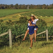 Hunter Valley: Wine Tour with 3 Tastings and Garden Lunch