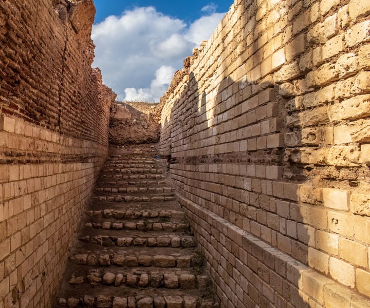 From Alexandria:- Highlights of Alexandria-full City Tour