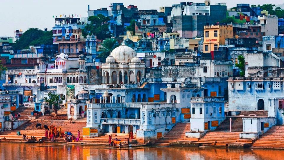 Au départ de Delhi : Jaipur, Pushkar et Ranthambore | GetYourGuide