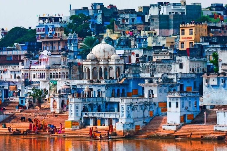 Desde Delhi: Excursión a Jaipur, Pushkar y Ranthambore