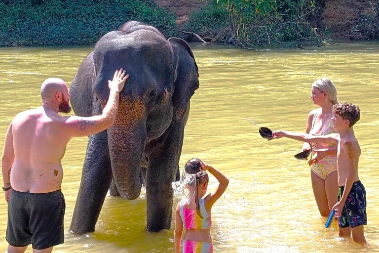 Phuket : Khao Sok - Soins privés aux éléphants et radeau de bambouGuide parlant allemand