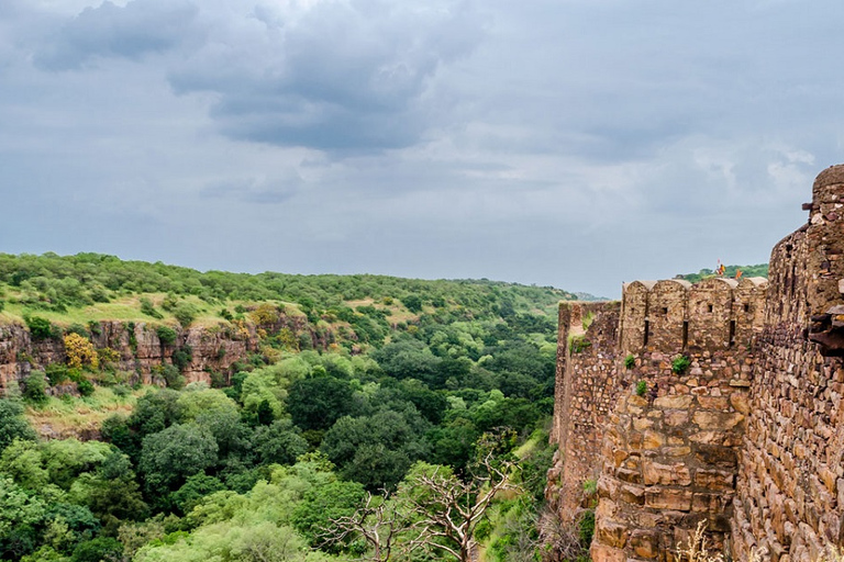 Vanuit Jaipur: Ranthambore-excursie op dezelfde dag