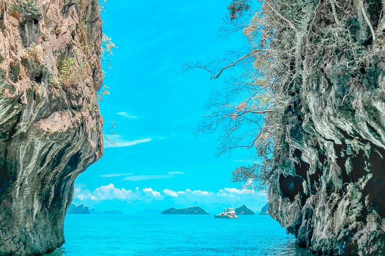 Phuket: Phang Nga Bay Bioluminescent Plankton en zeekano'sTransfer terug naar hotel inbegrepen