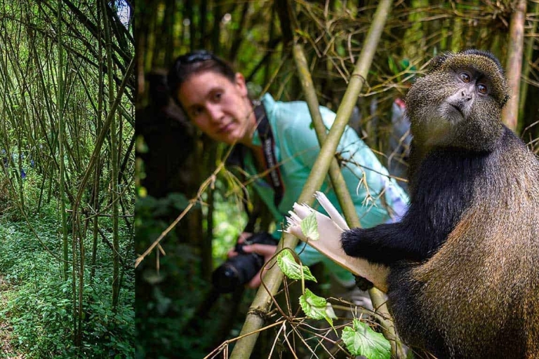 Desde Kigali : Excursión cultural y del Mono Dorado de un día