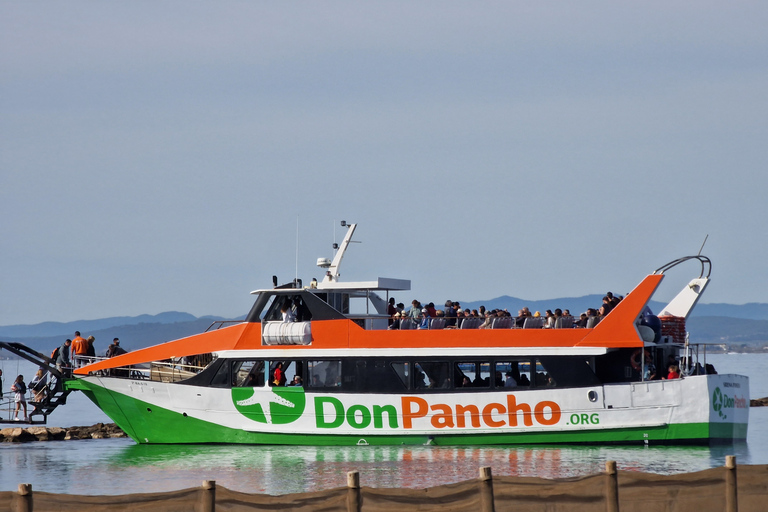 From Roses: Cruise on Costa Brava to Cadaqués From Roses: Sightseeing Cruise on Costa Brava to Cadaqués