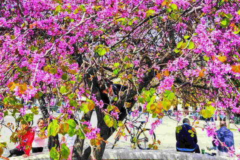 Corfu-stad: snelle wandeltocht