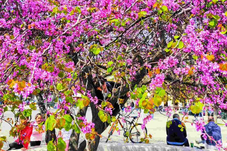 Cidade de Corfu: excursão a pé cultural expressa