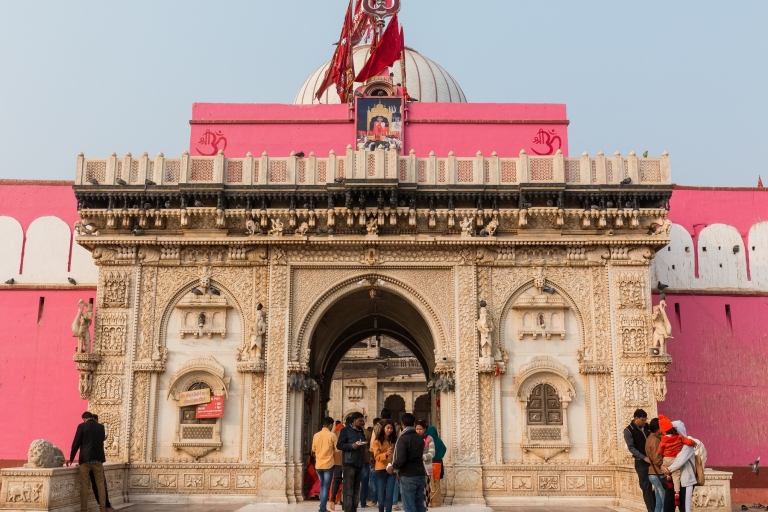 Visita el Centro de los Camellos y el Templo de la Rata desde Jodhpur con bajada en Bikaner