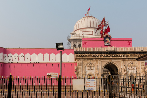 Zie Camel Centre, Rat Temple vanuit Jodhpur met Bikaner Drop