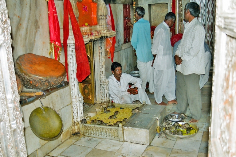Zobacz Camel Centre, Rat Temple z Jodhpur z Bikaner Drop