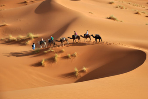 De Marrakech: Excursão de 3 dias a Merzouga e ao Deserto do SaaraPasseio padrão compartilhado