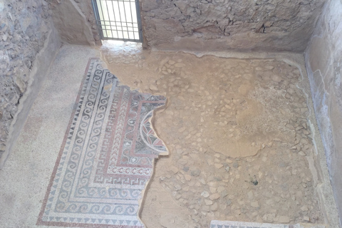 Masada y Mar Muerto Excursión de un día en grupo reducido fr. Puerto de Ashdod