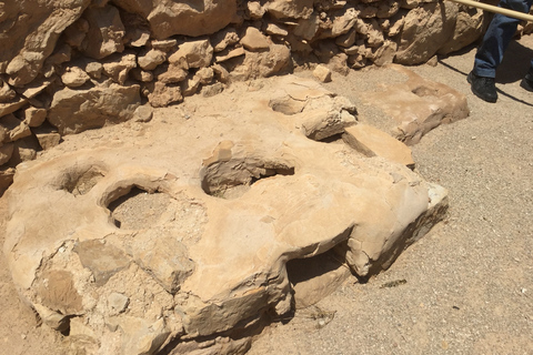 Masada y Mar Muerto Excursión de un día en grupo reducido fr. Puerto de Ashdod