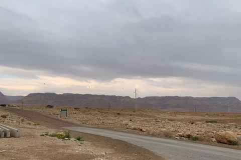 Masada e Mar Morto Tour di un&#039;intera giornata per piccoli gruppi fr. Porto di Ashdod