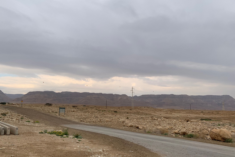 Masada y Mar Muerto Excursión de un día en grupo reducido fr. Puerto de Ashdod