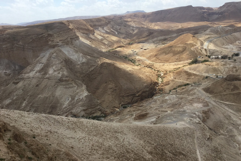 Masada y Mar Muerto Excursión de un día en grupo reducido fr. Puerto de Ashdod